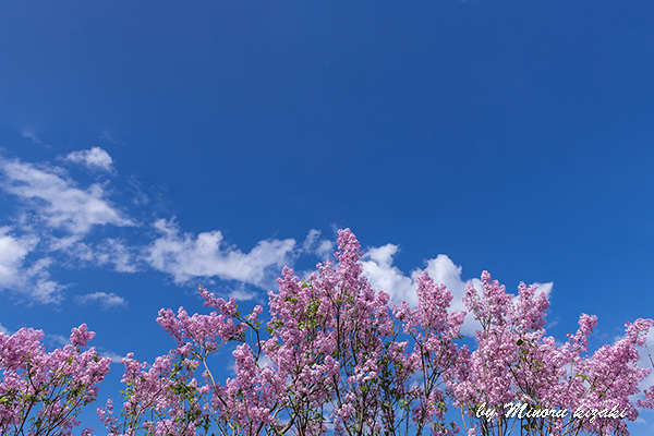 DSC_3204.jpg
