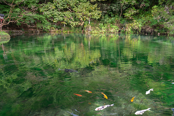DSC_6166.jpg