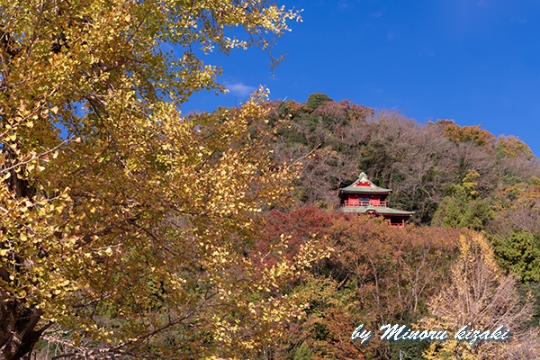 DSC_6329.jpg